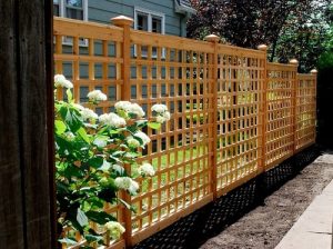 Fence Installation Budget