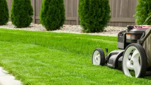 Battery Powered Lawn Mower Today