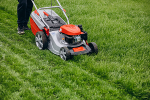 The Ultimate Guide to Year-Round Lawn Maintenance in Getzville