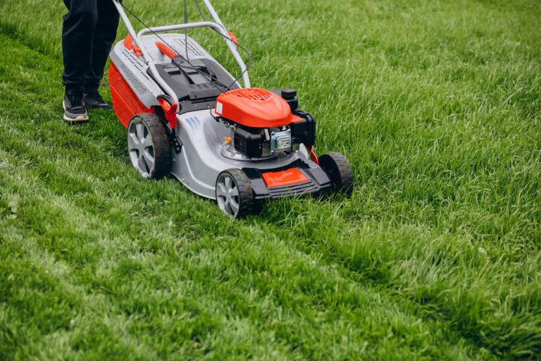 The Ultimate Guide to Year-Round Lawn Maintenance in Getzville