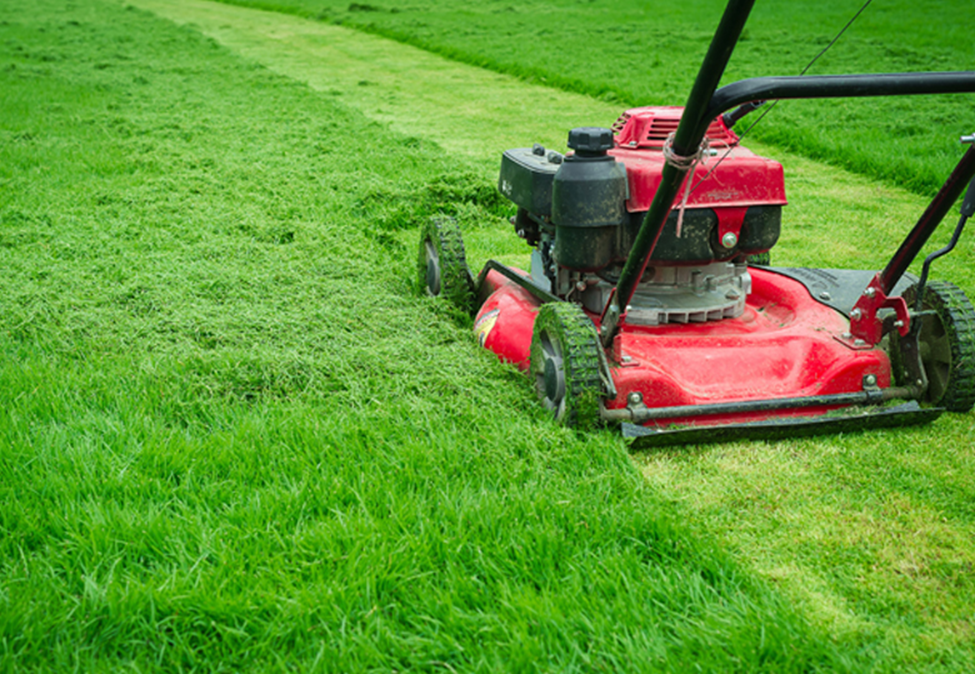 Beyond the Lawn: How Expert Landscaping Services Add Value to Every Season in SE Michigan