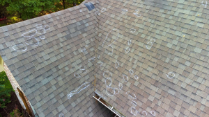 What to Do When Your Roof Starts Sagging