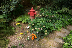 Integrating Fire Hydrants into Thoughtful Garden Landscapes