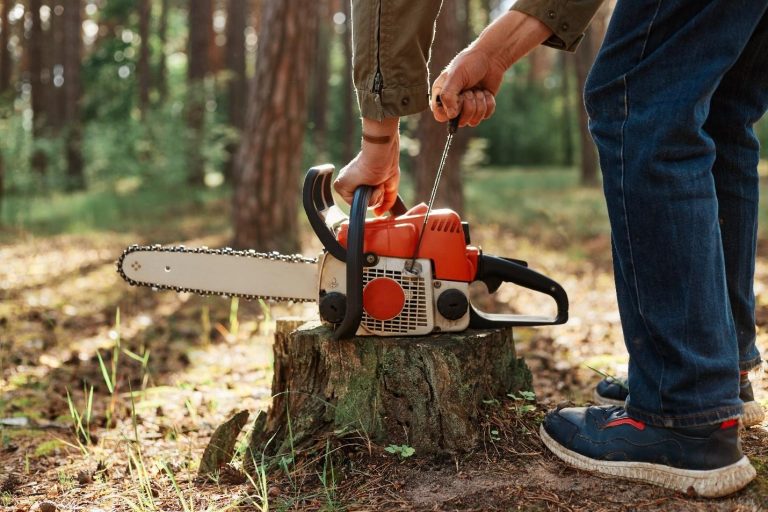 Top 5 Frequently Asked Questions about Tree Stump Grinding