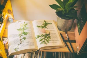 How Modern Life Changed the Meaning of Being Productive?